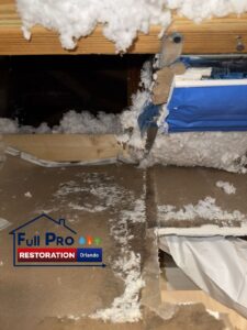 Mold-Removal-Services-FullProRestorationOrlando-1550-Tileston-Rd-St-Cloud-FL-34771-689-285-3222